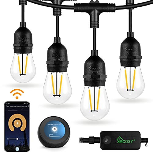 Outdoor String Lights, Patio Lights 98 Ft Smart LED String Lights, 30 Dimmable Warm White Edison Bulbs, WiFi Control, Work with Alexa, Waterproof String Lights for Outside Bistro Porch