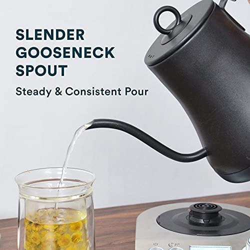 0.8L Electric Gooseneck Kettle Variable Temperature Control and
